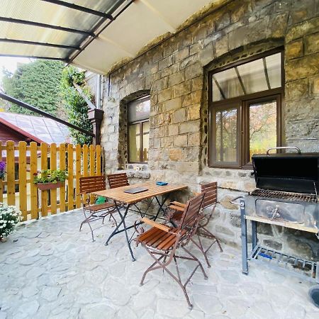 Apartment Carol Private Yard With Barbeque And Parking Sinaia Zewnętrze zdjęcie