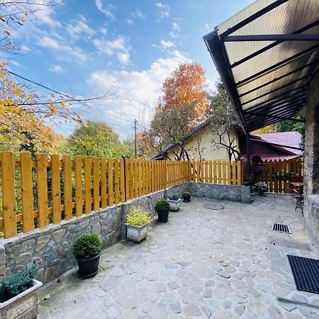 Apartment Carol Private Yard With Barbeque And Parking Sinaia Zewnętrze zdjęcie