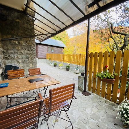 Apartment Carol Private Yard With Barbeque And Parking Sinaia Zewnętrze zdjęcie