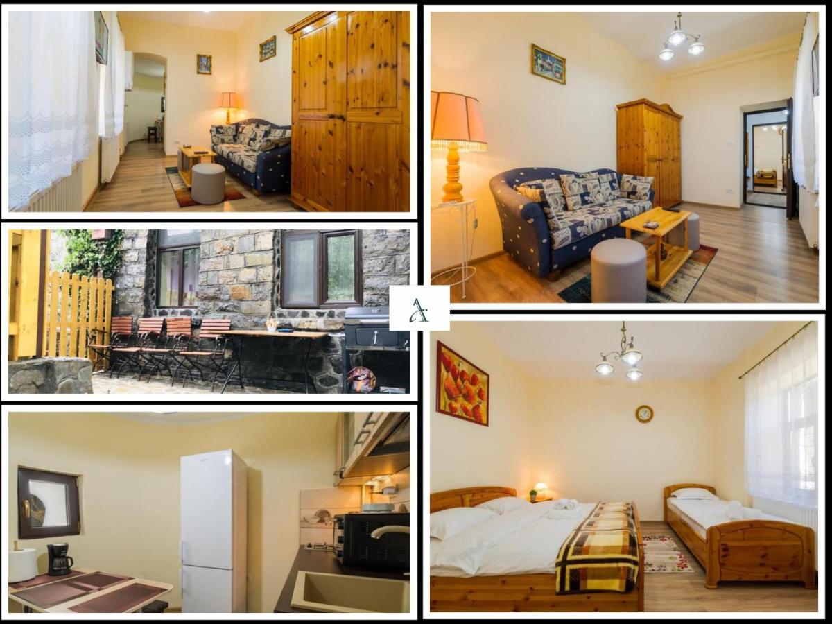 Apartment Carol Private Yard With Barbeque And Parking Sinaia Zewnętrze zdjęcie