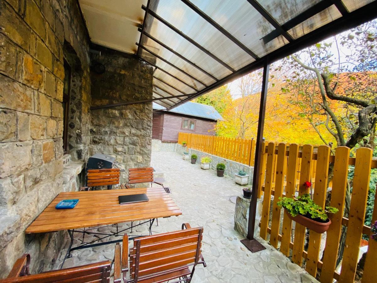 Apartment Carol Private Yard With Barbeque And Parking Sinaia Zewnętrze zdjęcie