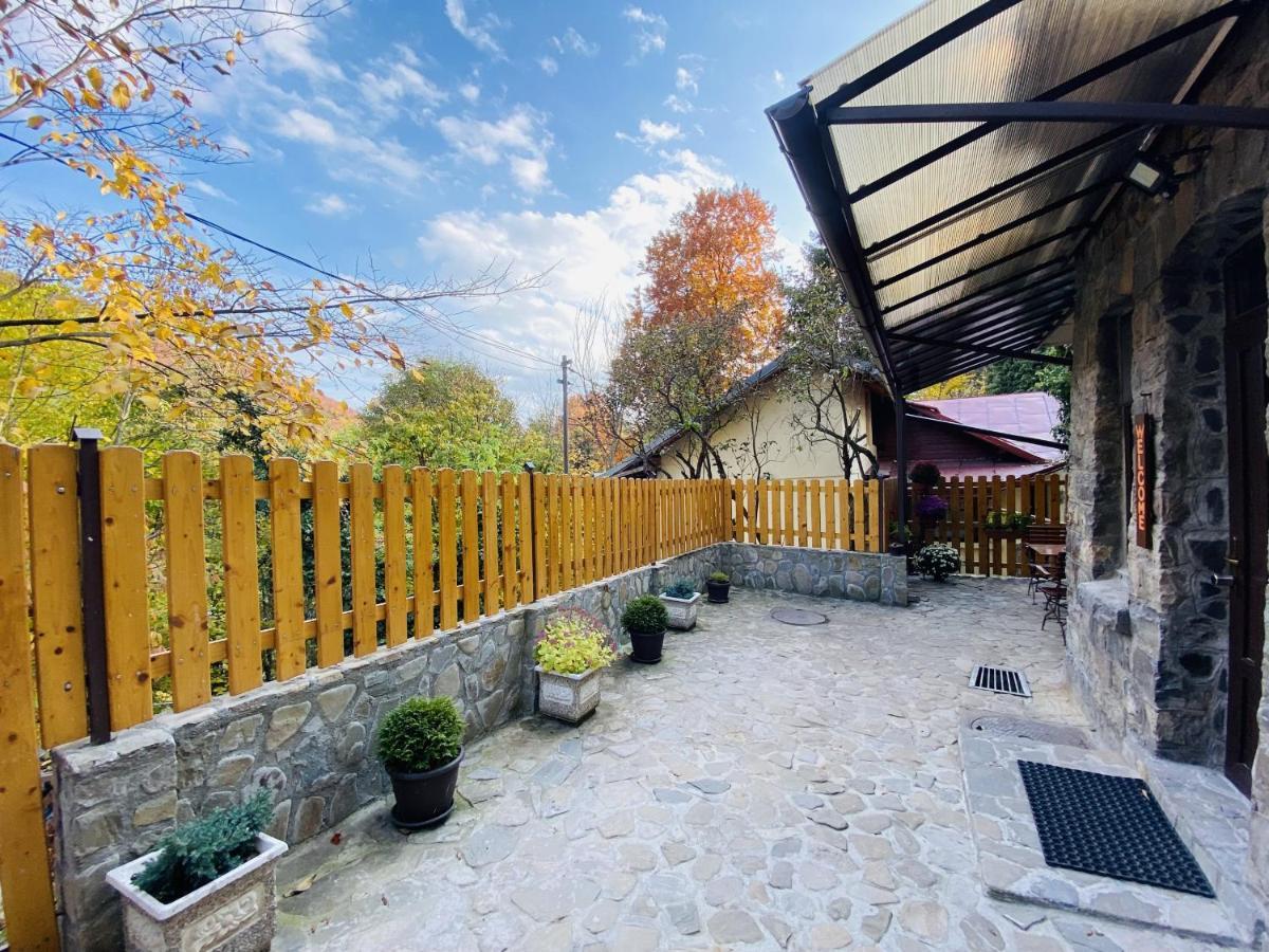 Apartment Carol Private Yard With Barbeque And Parking Sinaia Zewnętrze zdjęcie