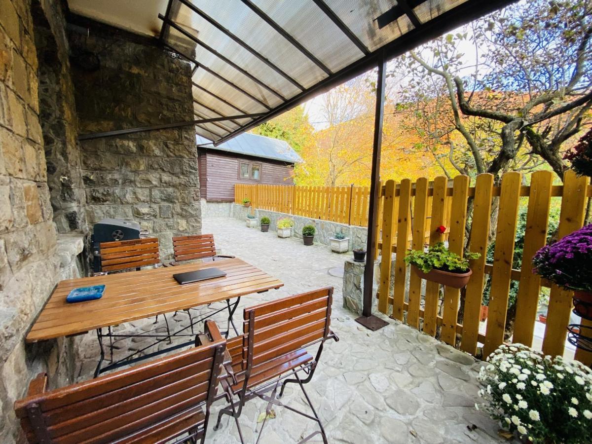 Apartment Carol Private Yard With Barbeque And Parking Sinaia Zewnętrze zdjęcie