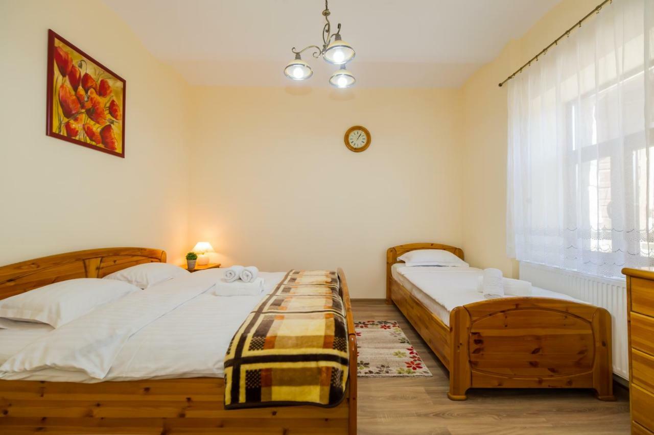 Apartment Carol Private Yard With Barbeque And Parking Sinaia Zewnętrze zdjęcie