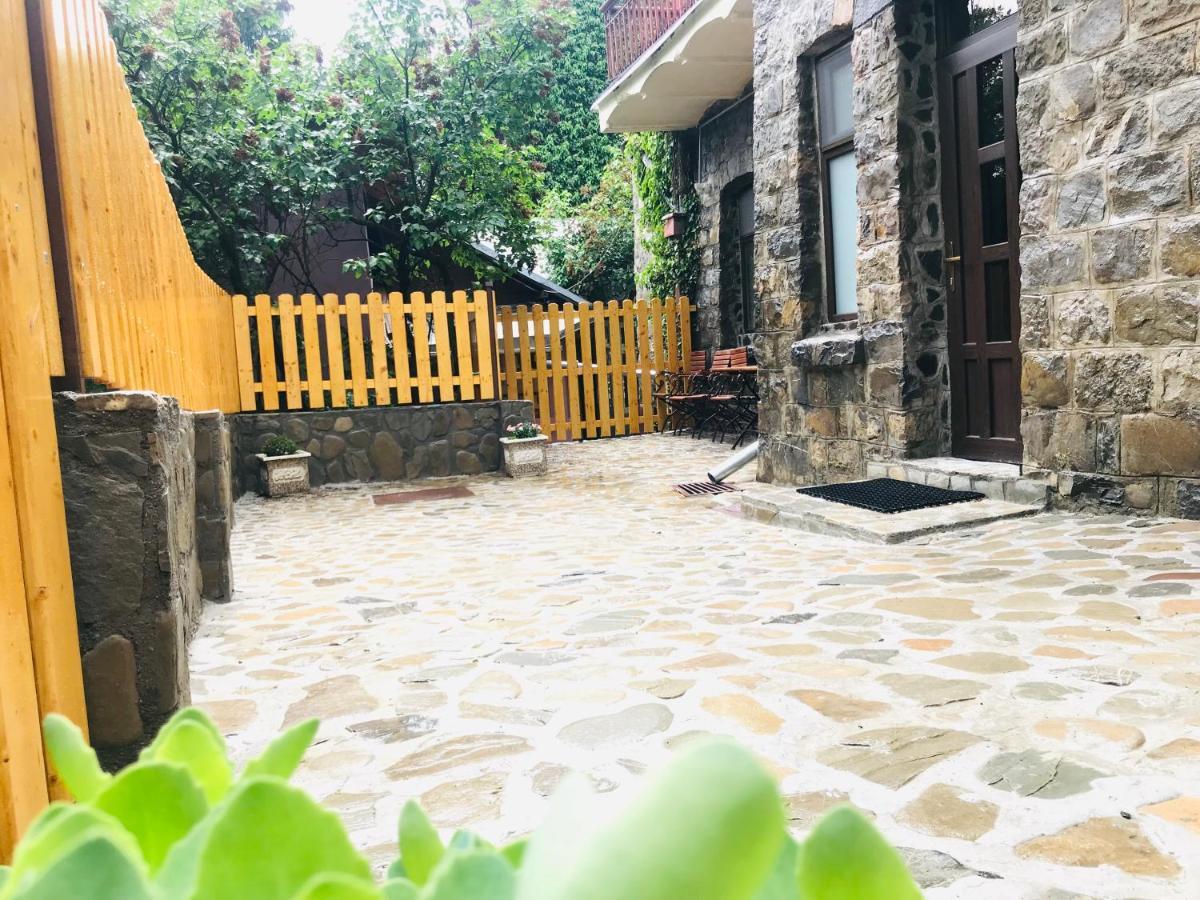 Apartment Carol Private Yard With Barbeque And Parking Sinaia Zewnętrze zdjęcie