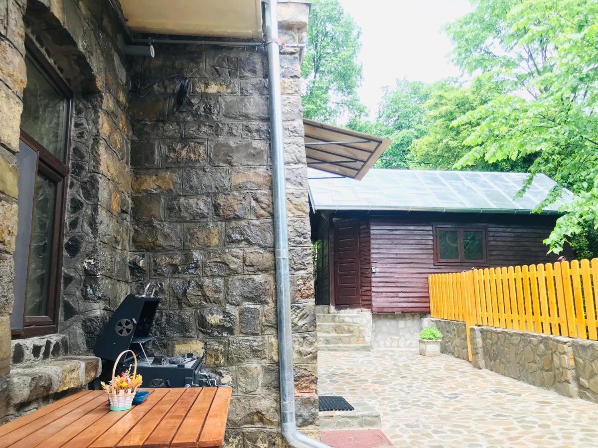 Apartment Carol Private Yard With Barbeque And Parking Sinaia Zewnętrze zdjęcie